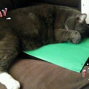 Meet your Posher, Deborah